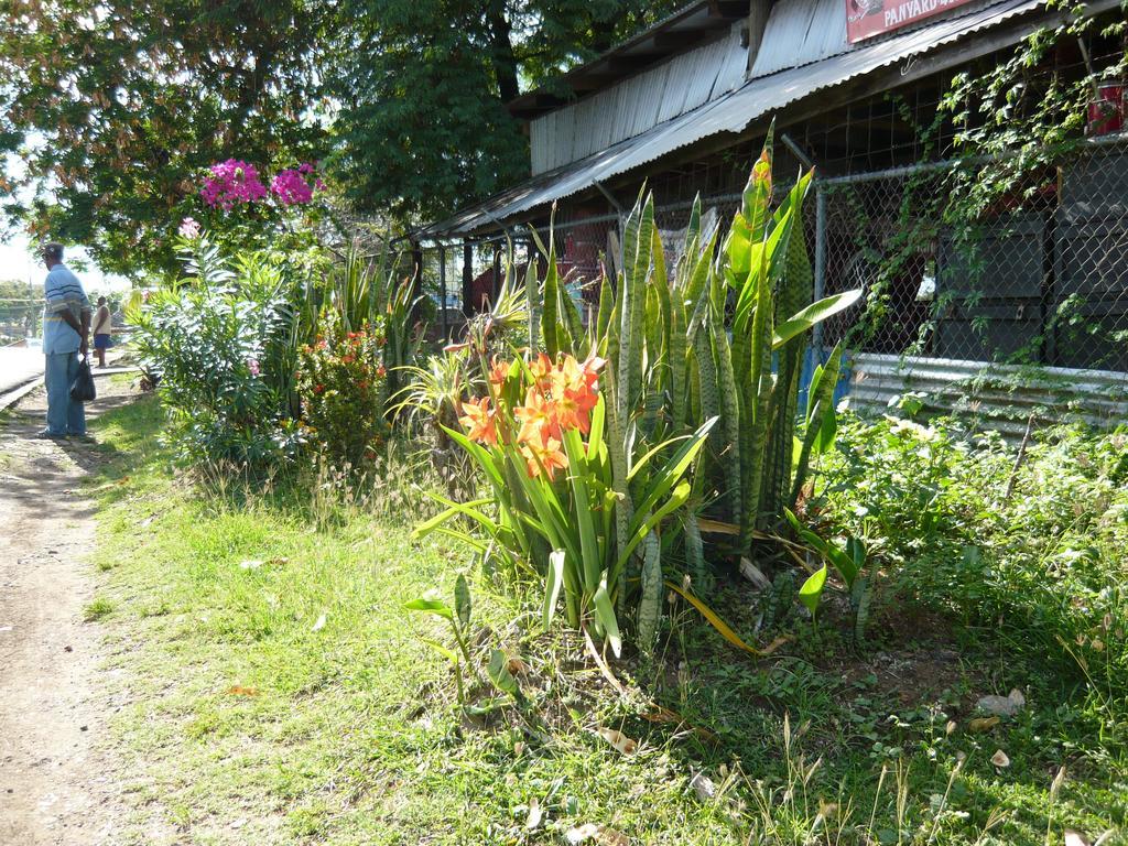 Hotel Chez Marie Alish Gros Islet Exterior foto